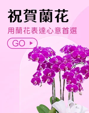 祝賀蘭花_弘曜花藝版權所有