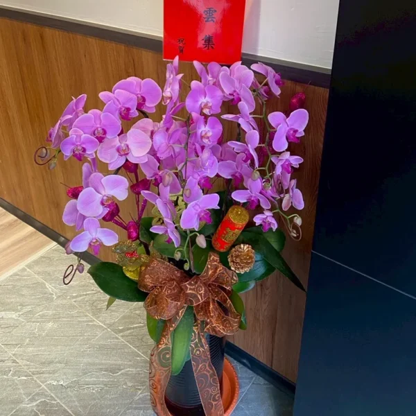 祝賀蘭花B_弘曜花藝版權所有