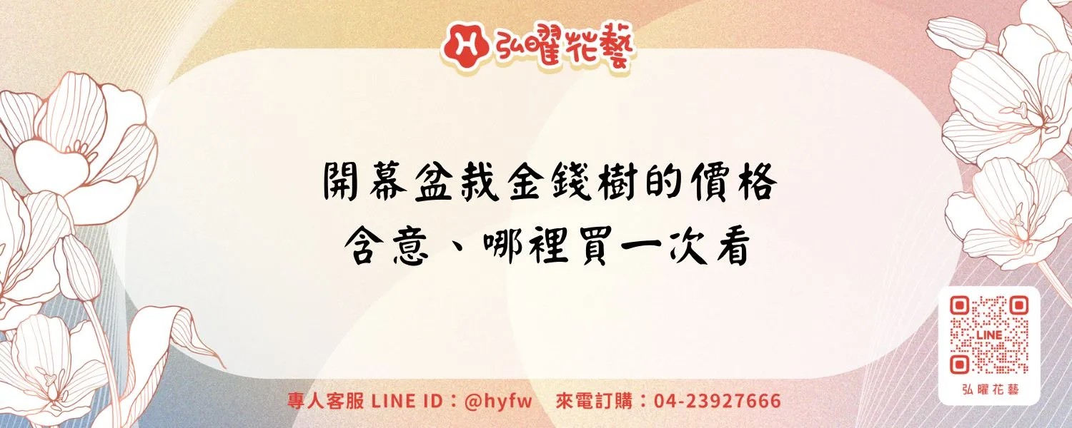 開幕盆栽金錢樹的價格、含意、哪裡買一次看