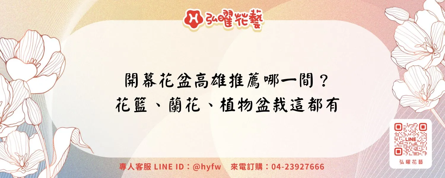 開幕花盆高雄推薦哪一間？花籃、蘭花、植物盆栽這都有