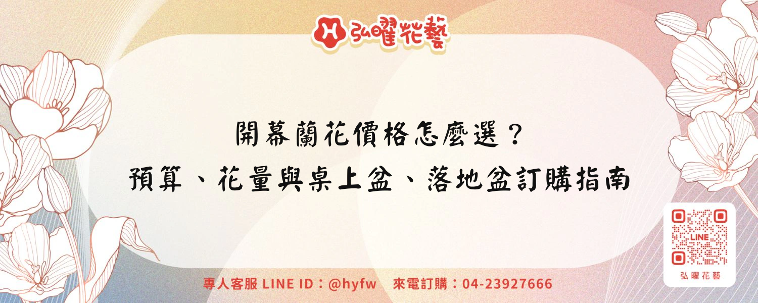 開幕蘭花價格怎麼選？預算、花量與桌上盆、落地盆訂購指南