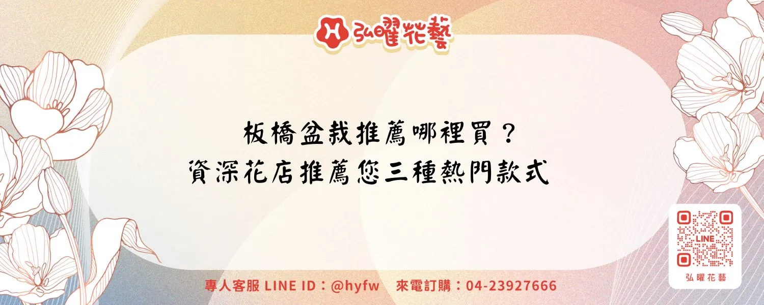板橋盆栽推薦哪裡買？資深花店推薦您三種熱門款式