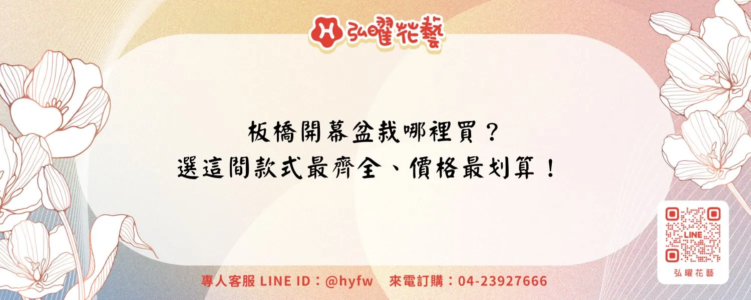 板橋開幕盆栽哪裡買？選這間款式最齊全、價格最划算！