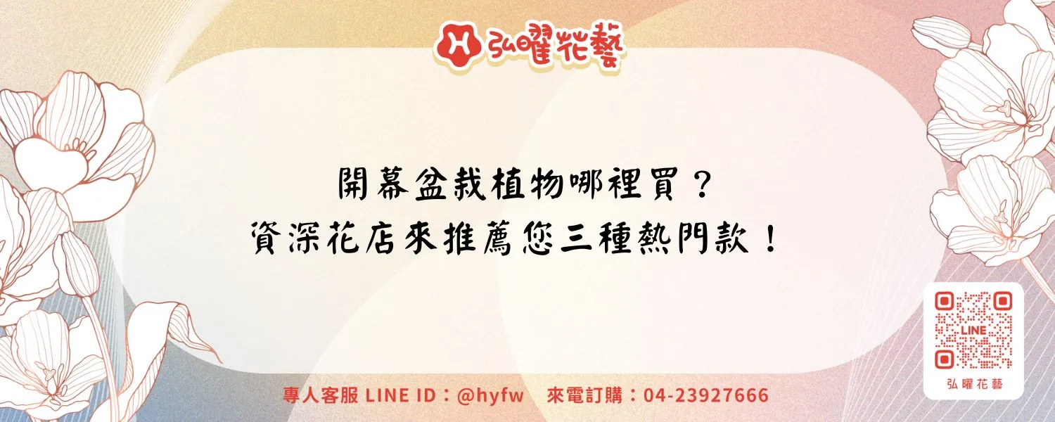 開幕盆栽植物哪裡買？資深花店來推薦您三種熱門款！
