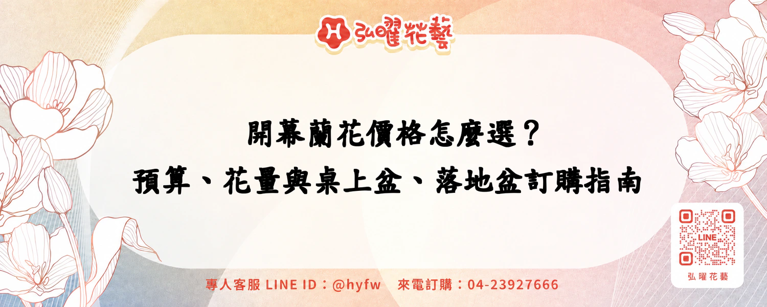開幕蘭花價格怎麼選？預算、花量與桌上盆、落地盆訂購指南