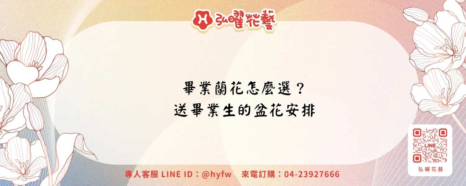 畢業蘭花適合送學生嗎？盆花選擇、典禮收件與帶回家安排｜弘曜花藝