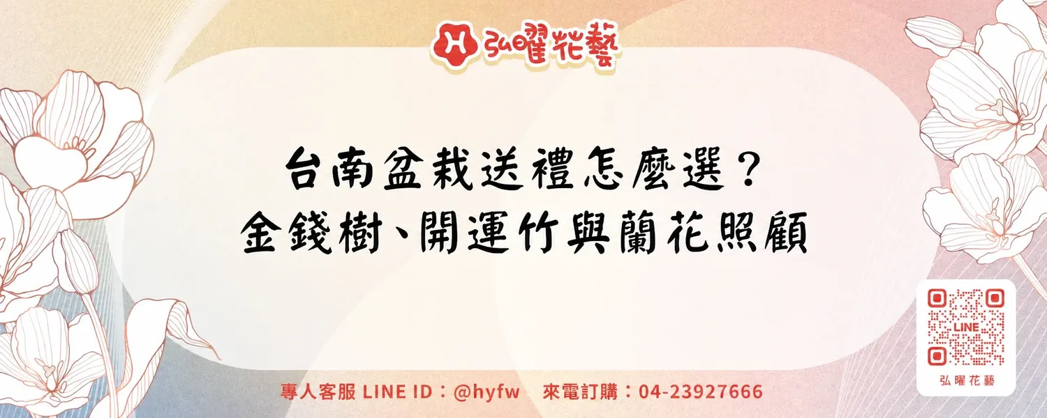 台南盆栽送禮怎麼選？金錢樹、開運竹與蘭花照顧